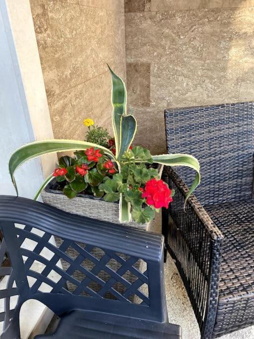Casa Del Sole - Beautiful Studio In Varna Bulgaria Apartment Luaran gambar
